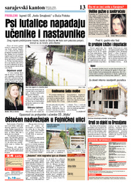 Psi lutalice napadaju učenike i nastavnike