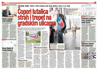 Čopori lutalica strah i trepet na gradskim ulicama