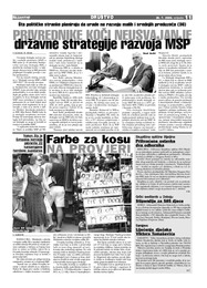 PRIVREDNIKE KOČI NEUSVAJANJE državne strategije razvoja MSP