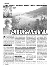 ZABORAVLJENO EKOLOŠKO BLAGO