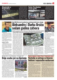 Aleksandru i Darku Arsiću sedam godina zatvora